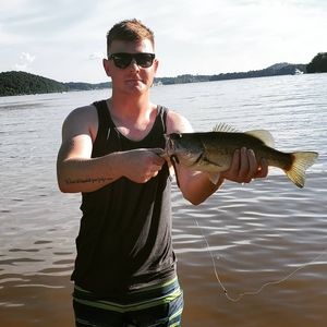 Meet your Posher, Charles